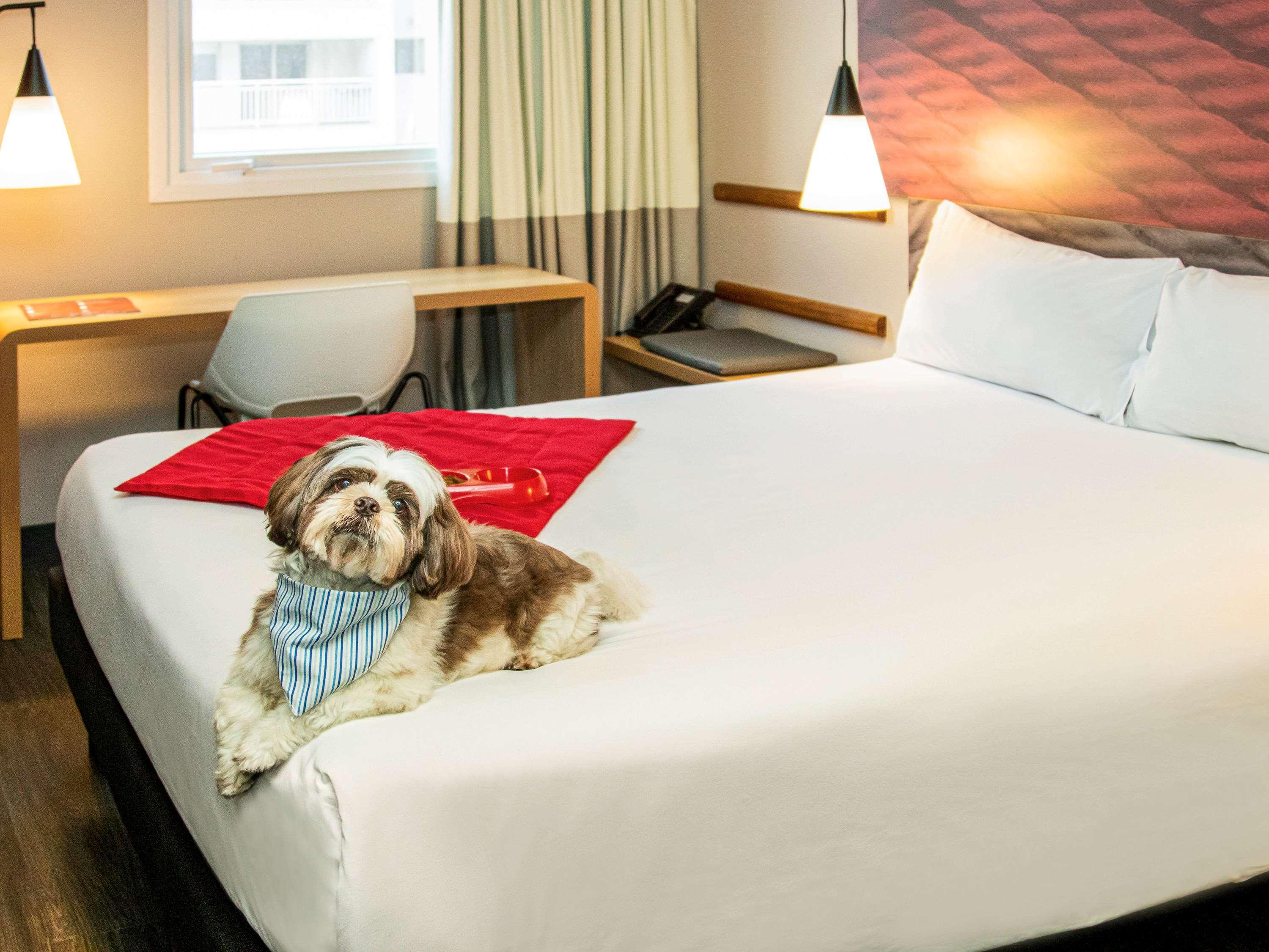 Ibis Sao Paulo Tatuape Hotel ภายนอก รูปภาพ
